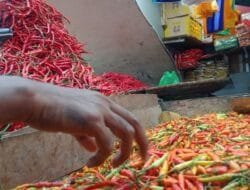 Inflasi Tertinggi di Ternate: 2,65 Persen pada Juli 2025