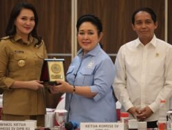 Gubernur Malut Desak Perbaikan Sinkronisasi Izin Tambang dan Kehutanan