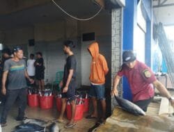 Deflasi Terdalam Terjadi di Maluku Utara, Simak Daftar Harga yang Anjlok