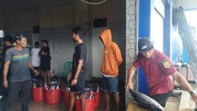 Deflasi Terdalam Terjadi di Maluku Utara, Simak Daftar Harga yang Anjlok