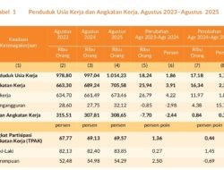 Penduduk Usia Kerja Malut Tembus 1 Juta, Pengangguran Ikut Naik