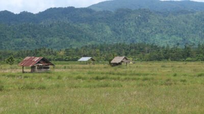 APMP-MU Tolak Smelter PT Busan Asia Mineral di Subaim