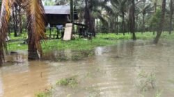 Warga Kawasi Gugat Harita Nickel Usai Banjir Lumpur Merah