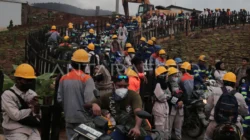 Pengangguran Maluku Utara Turun, Tantangan Kerja Informal Masih Tinggi