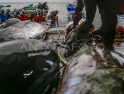 Kebijakan KKP Diprotes, Nelayan Khawatir Jadi Penonton Laut