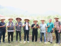 Dikbud dan SMK Negeri 3 Tidore Panen Asa Pendidikan Vokasi