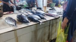 Ramadan di Ternate Dibayangi Lonjakan Harga Pangan