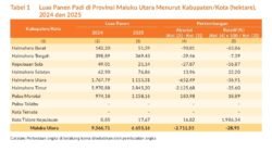 Luas Panen Padi Maluku Utara 2025 Anjlok Tajam