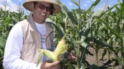 Program SMK Menanam Sukses Dukung Ketahanan Pangan Maluku Utara
